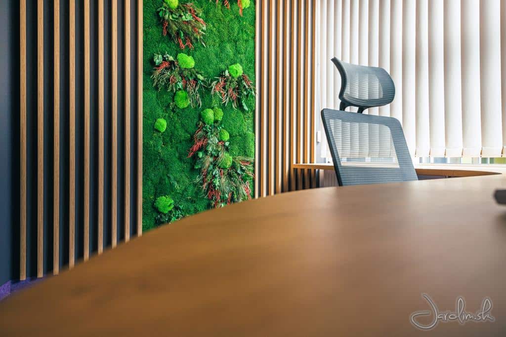 GREENIN Pflanzenwand im Büro_Profida03