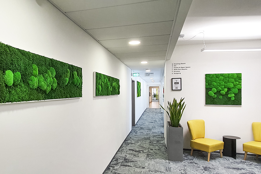 Sustainable office design with GREENIN Decoration and Pictures von Moss-naturaldesign.at