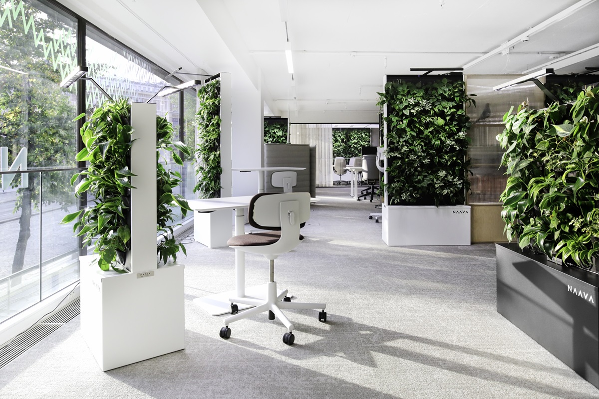 Pflanzen Raumteiler-Büro Pflanzen-NAAVA Flow-naturaldesign.at