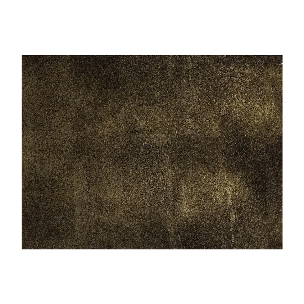 Wandpaneele-Kork-schwarzgold-naturaldesign